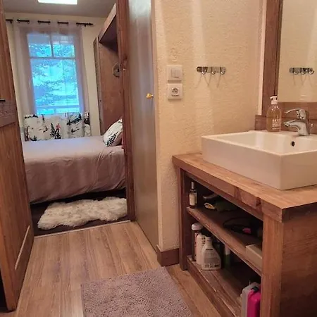 Apartment L'ours De St Lary, 6 Personnes, Piscine, Sauna, Hammam