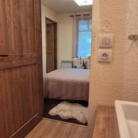 L'ours De St Lary, 6 Personnes, Piscine, Sauna, Hammam Apartment *